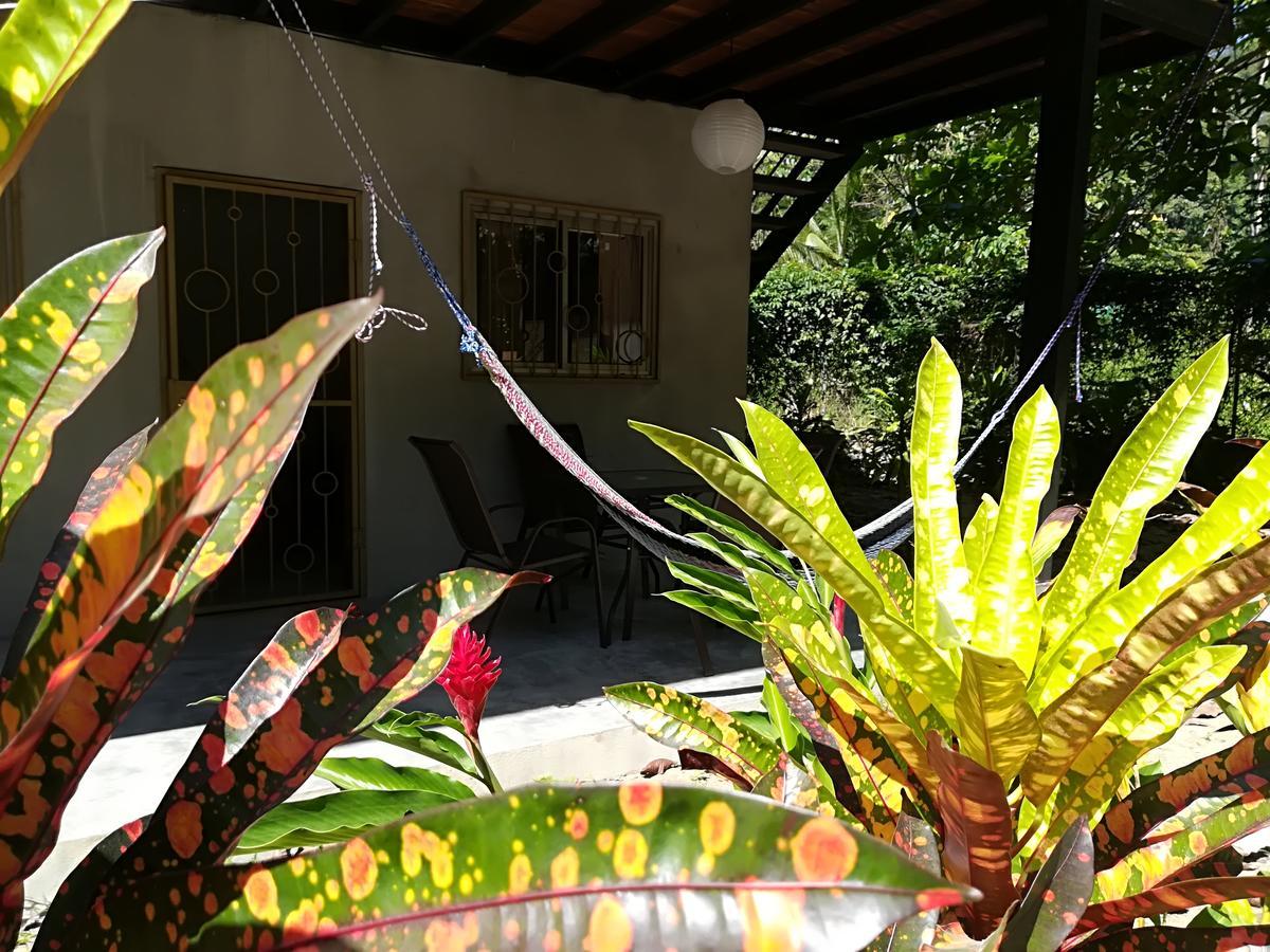 Appartement Shakti à Playa Santa Teresa  Extérieur photo